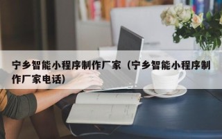 江山宁乡智能小程序制作厂家（宁乡智能小程序制作厂家电话）
